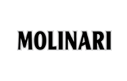 https://greatspirit.es/portfolio/molinari/